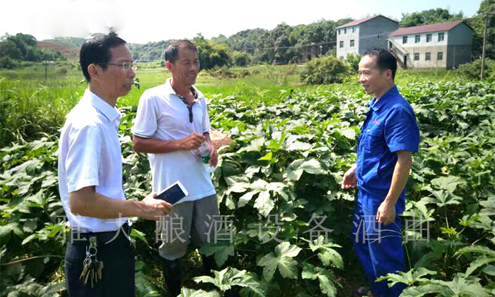 7.28雅大胡總到農(nóng)戶家了解秋葵長勢