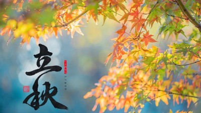 立秋 | 盛夏暑氣遠(yuǎn)，酒中秋色濃