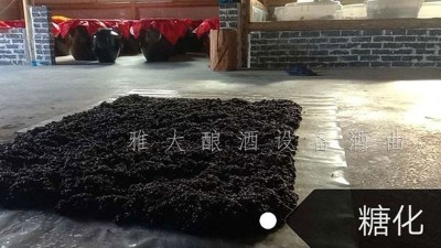 簡單10步教您用白酒生產(chǎn)設(shè)備釀出美味黑糯米酒，趕緊來看看！