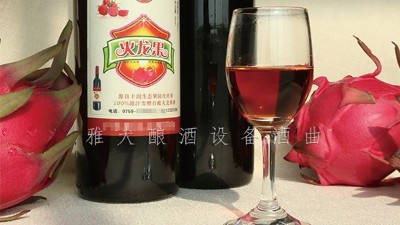 雅大釀酒設(shè)備廠家，果酒研發(fā)一年四季不打烊